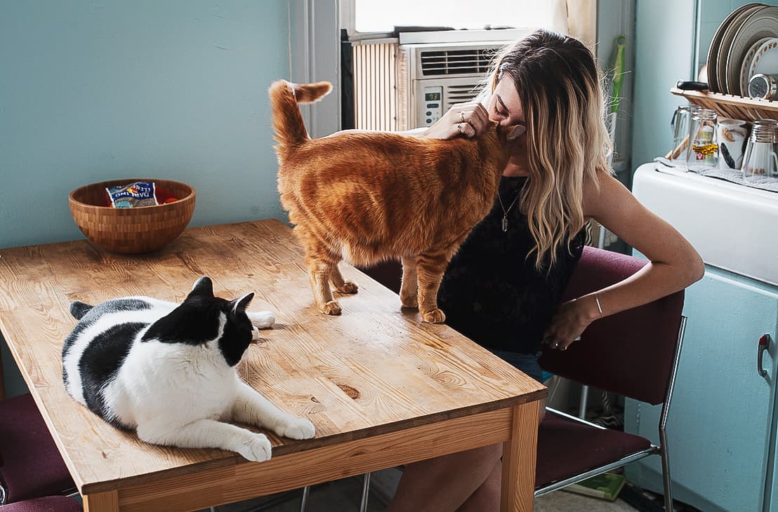 Cuidadora acompanhando um gato no ambiente de casa