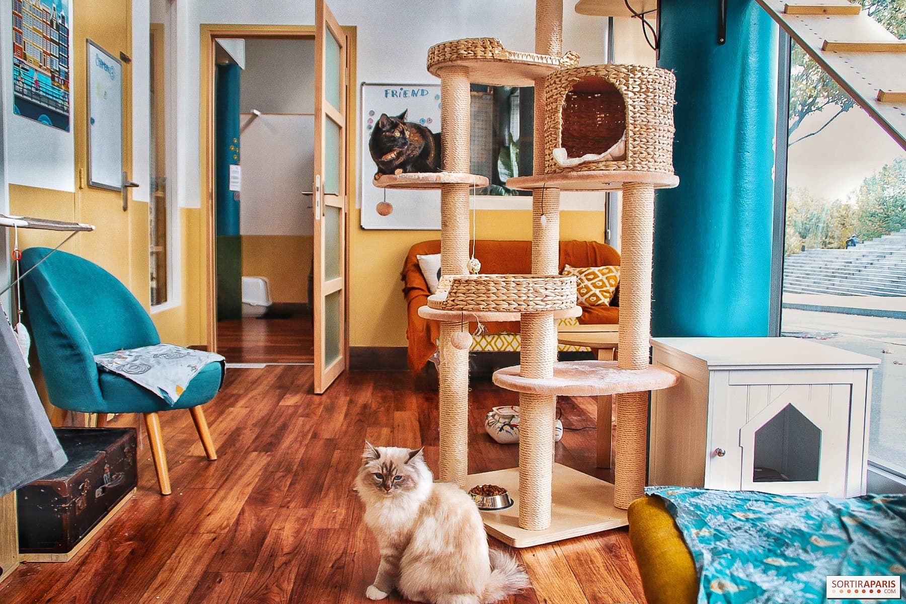 Pet sitter cuidando de um cachorro em casa