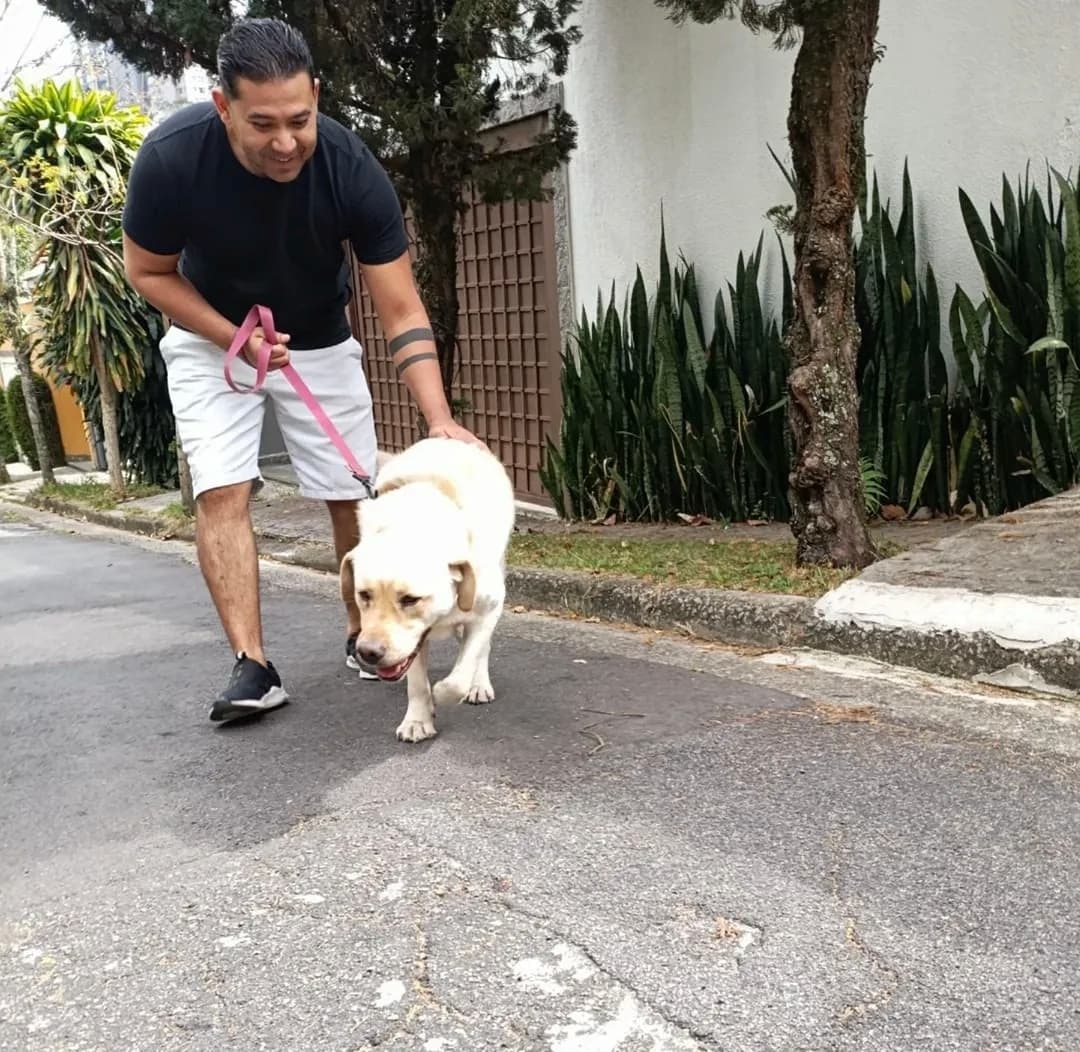 Trabalho de Gerson Santos