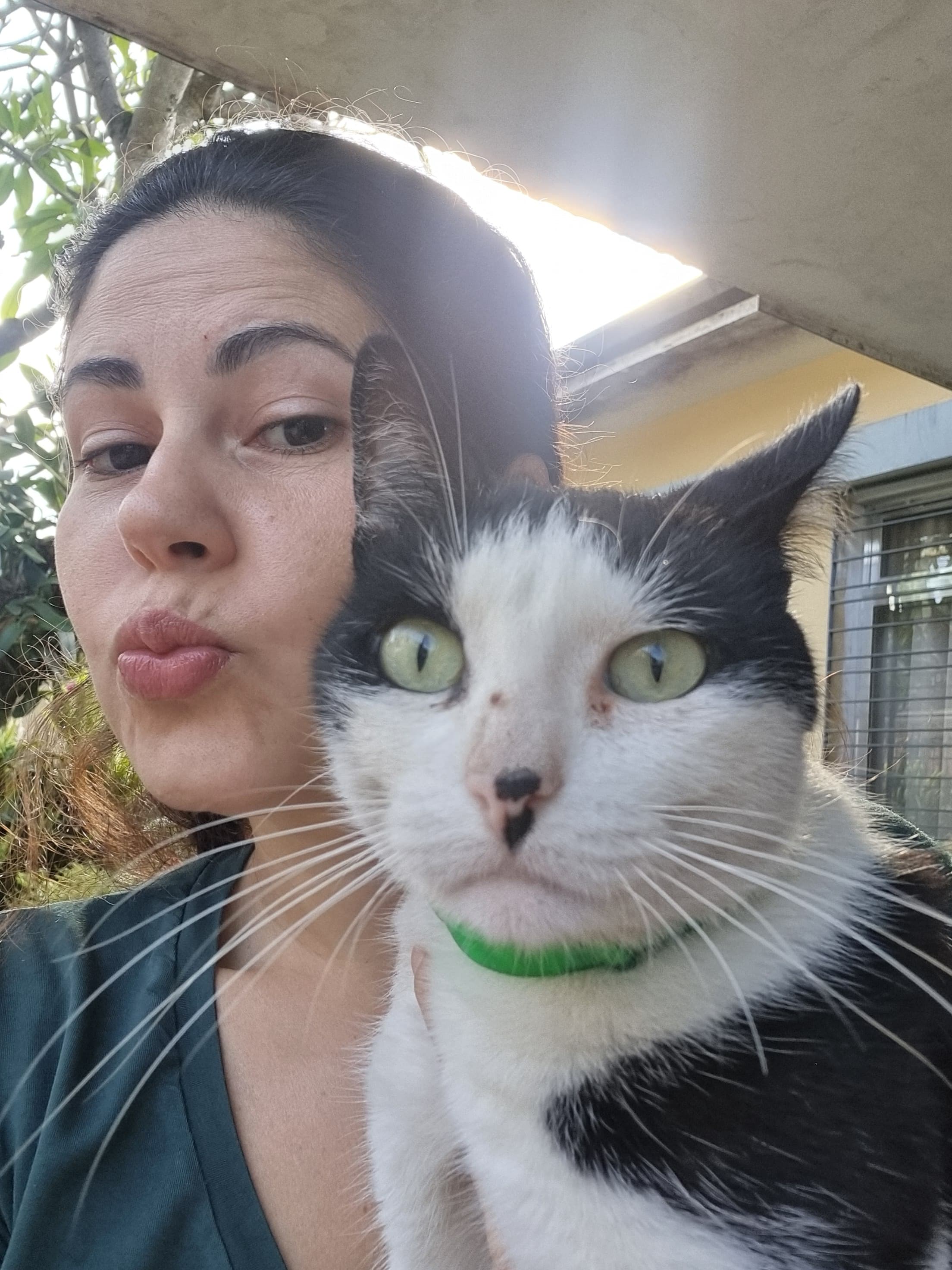 Trabalho de Camila Lapa